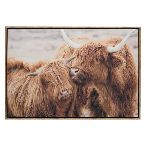 HSH HIGHLAND COWS FRAME CANVA