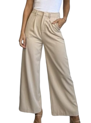 ELSIE PLEATED FLARED PANTS