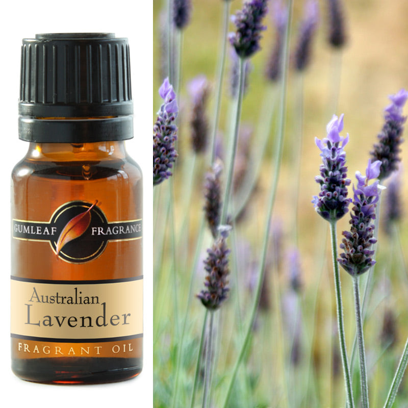 GUMLF FRAGRANT- AUSTRALIAN LAVENDER